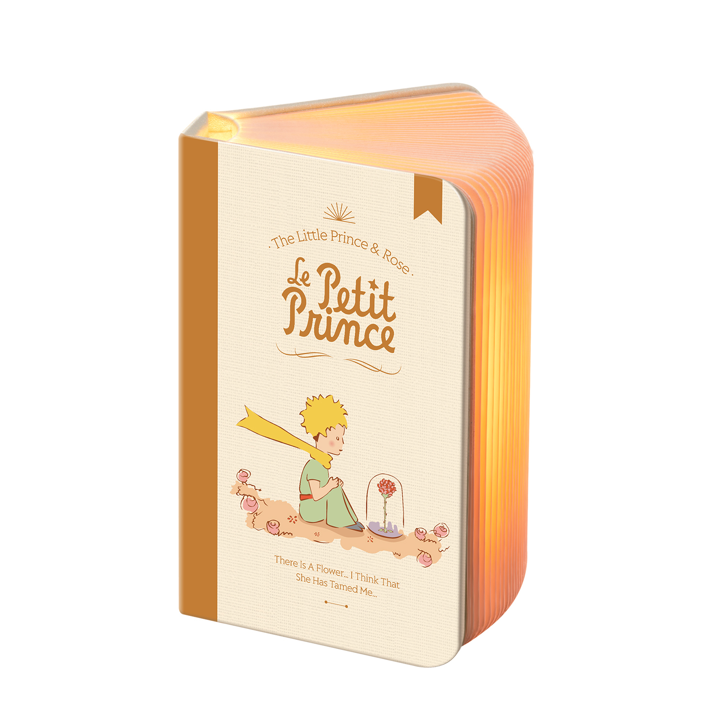 Little Prince Night Light-Book