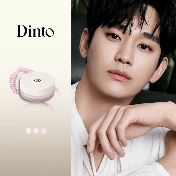 Dinto Pixie Dust Loose Powder 6g