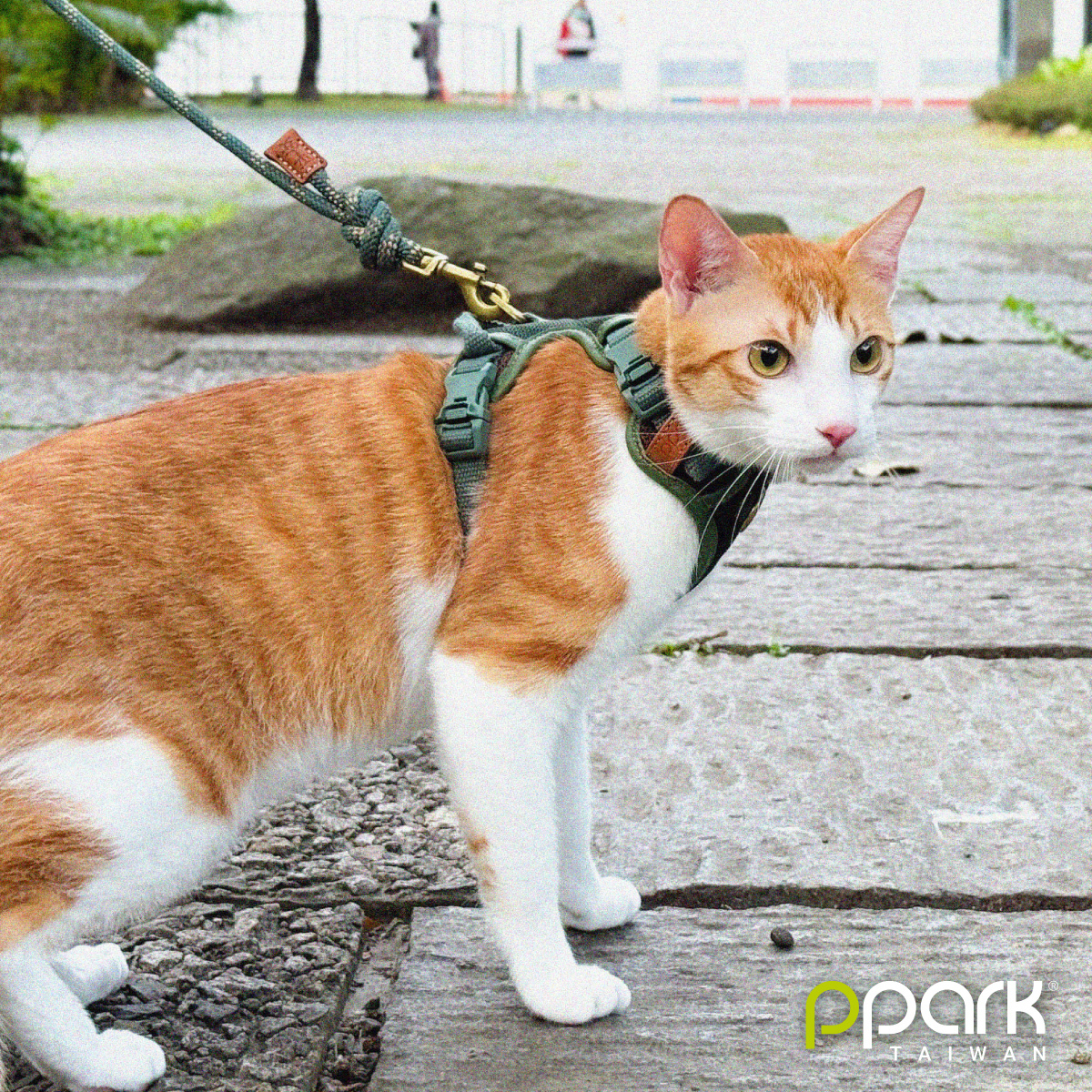 《官網限定》貓｜Vintage-Circle 圓拉繩 120