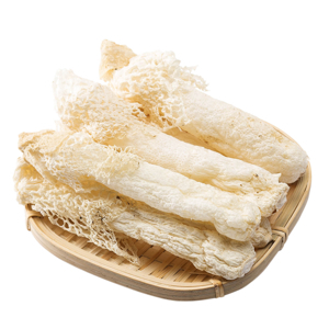 菌中皇后:竹笙的歷史、營養與美味應用