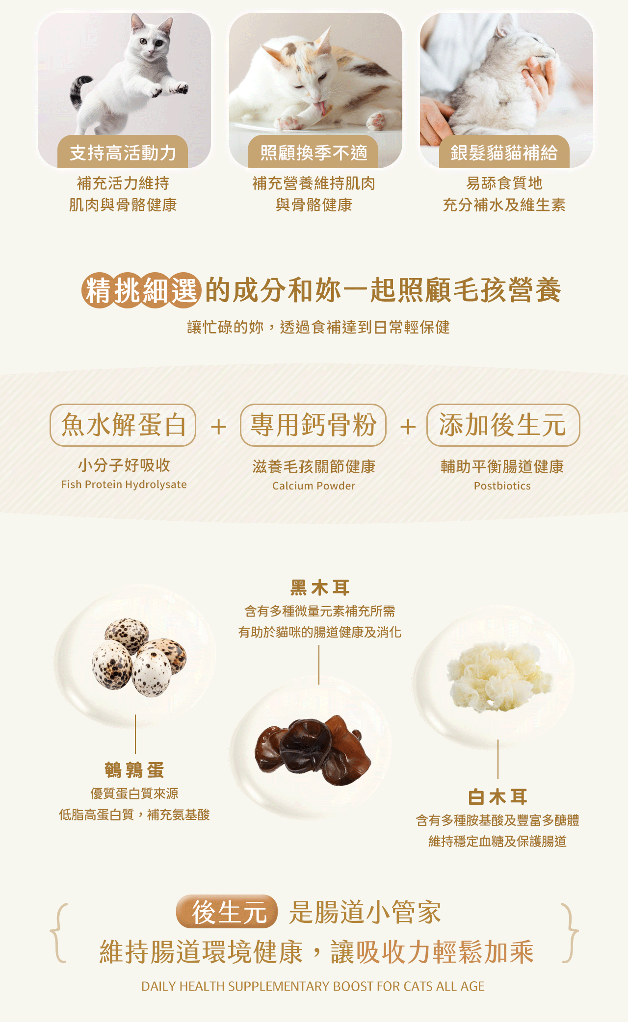 支持高活動力貓咪，銀髮貓咪補充營養，好消化吸收