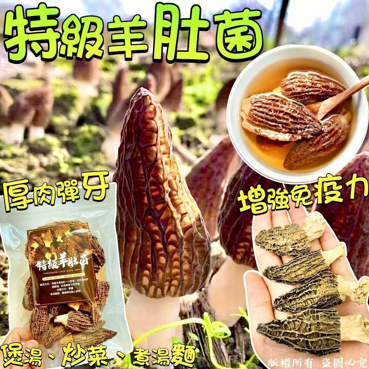 37.5克特級羊肚菌（約16-19隻）-210133