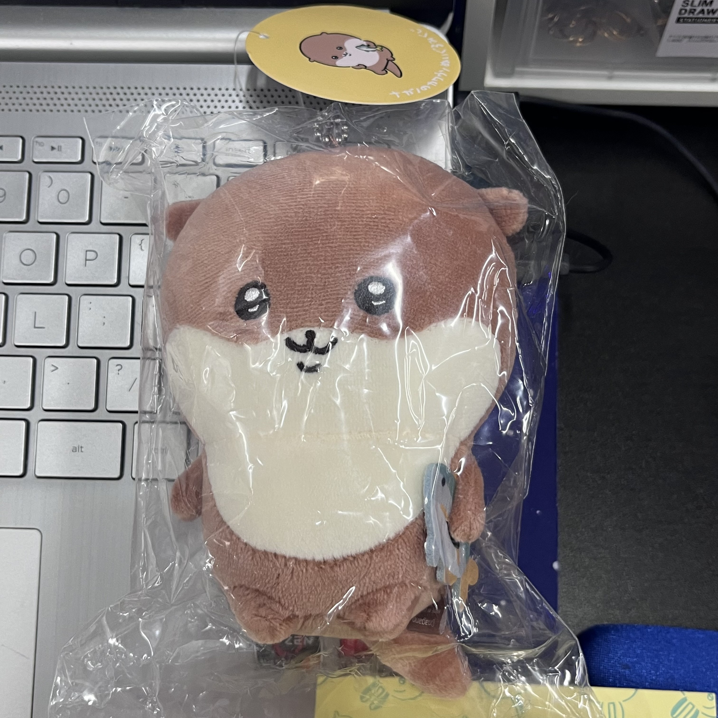 CHIIKAWA 水獺  公仔#184