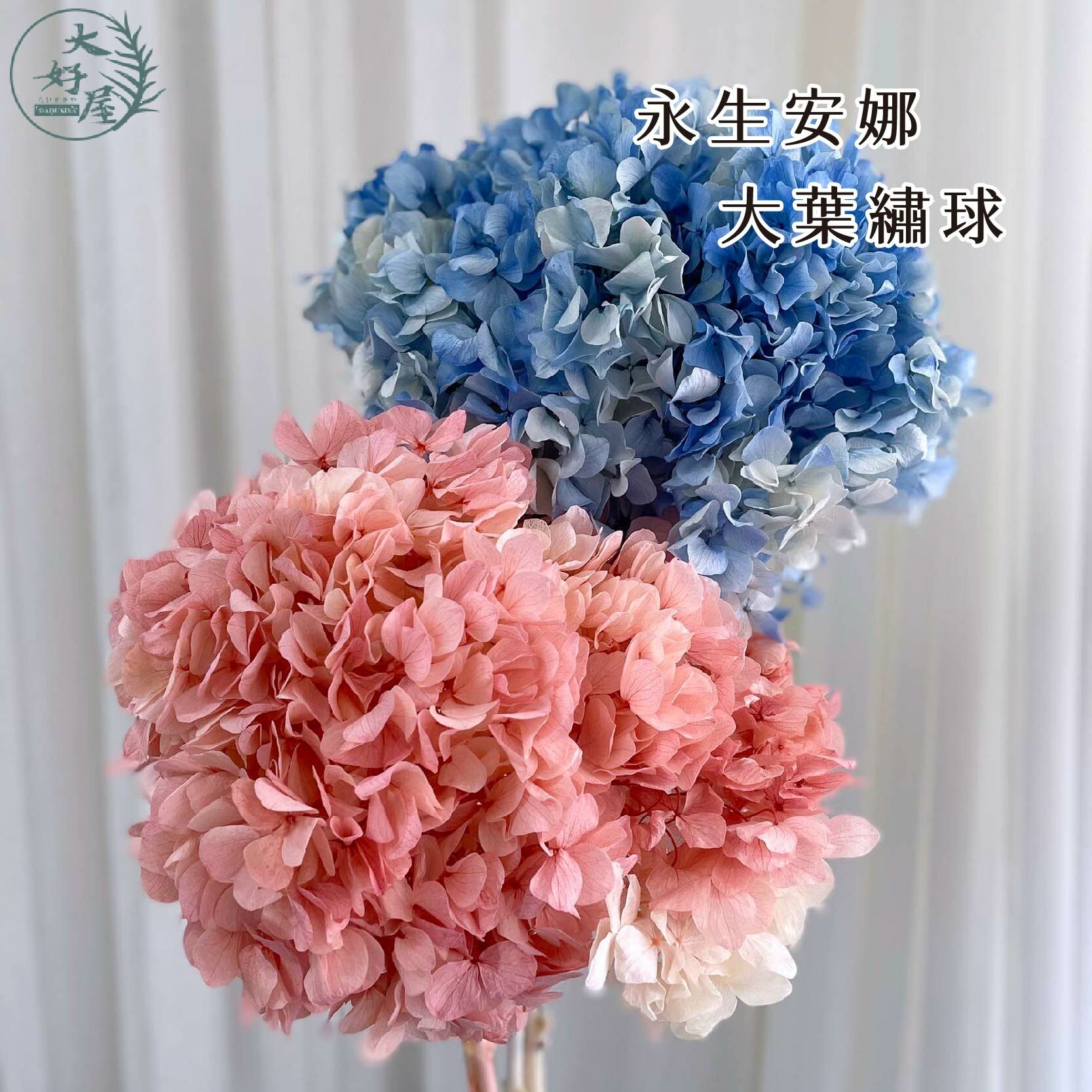 永生大葉繡球【束裝】