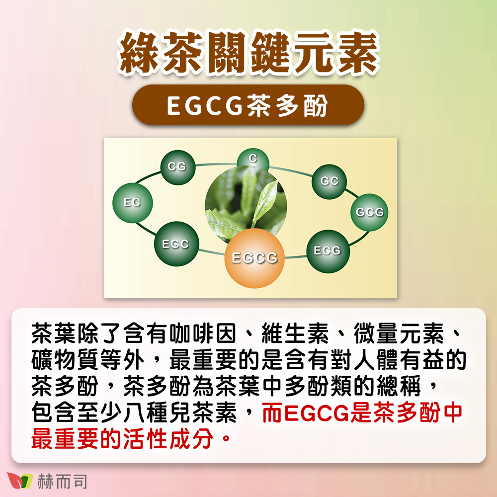 薑黃素推薦 【赫而司】CA-200V二代專利薑黃益多酚 綠茶關鍵元素EGCG茶多酚，茶葉除了含有咖啡因、維生素、微量元素、礦物質等外，最重要的是含有對人體有益的茶多酚，茶多酚為茶葉中多酚類的總稱，包含至少八種兒茶素，而EGCG是茶多酚中最重要的活性成分