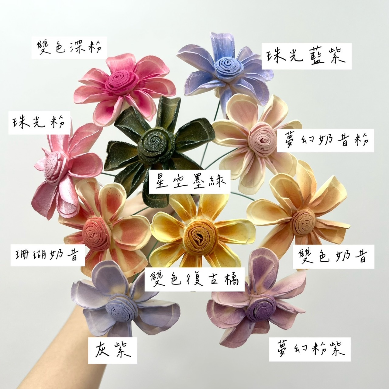 越南索拉花 白色小雛菊 6CM<十支一把>