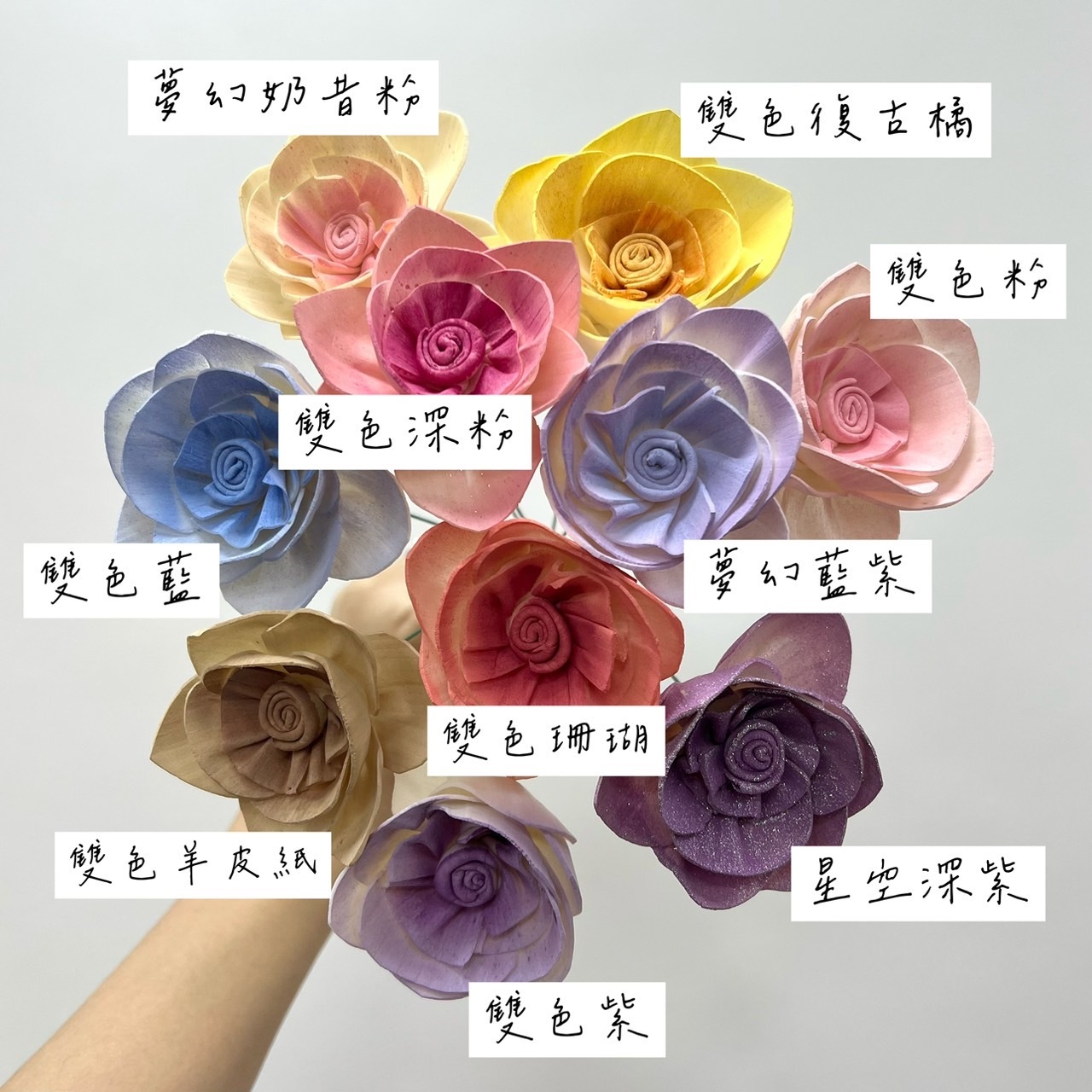 越南索拉花 木蘭花 6CM<十支一把>