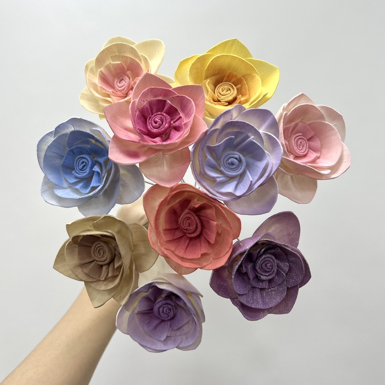 越南索拉花 木蘭花 6CM<十支一把>