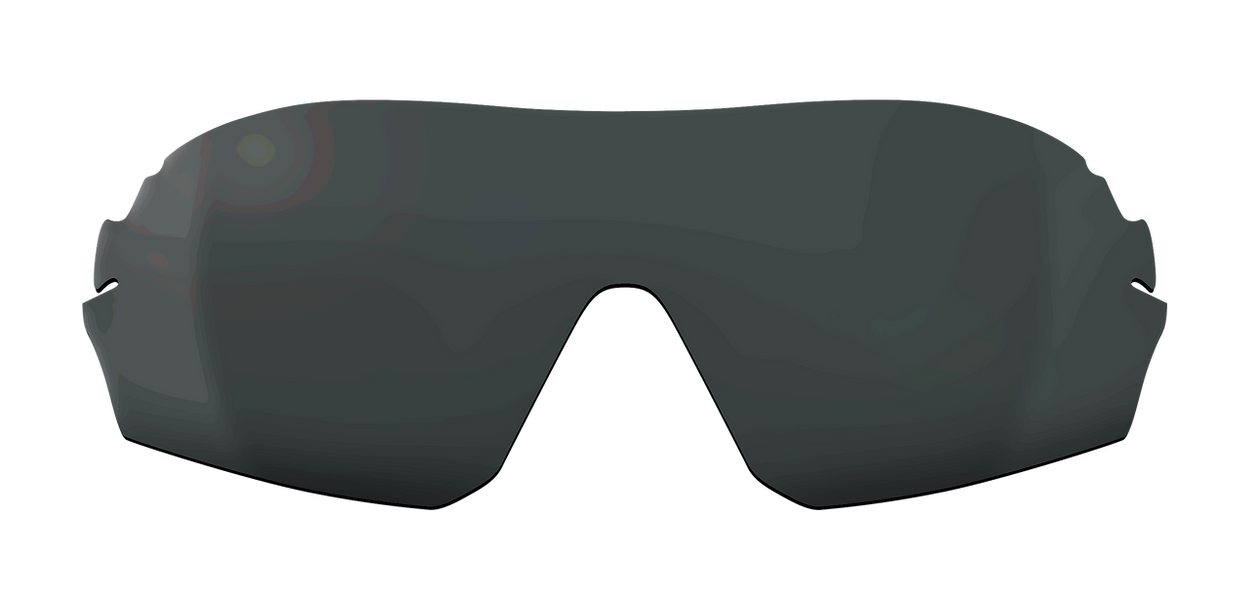 AF-305 變色（透明-深灰）