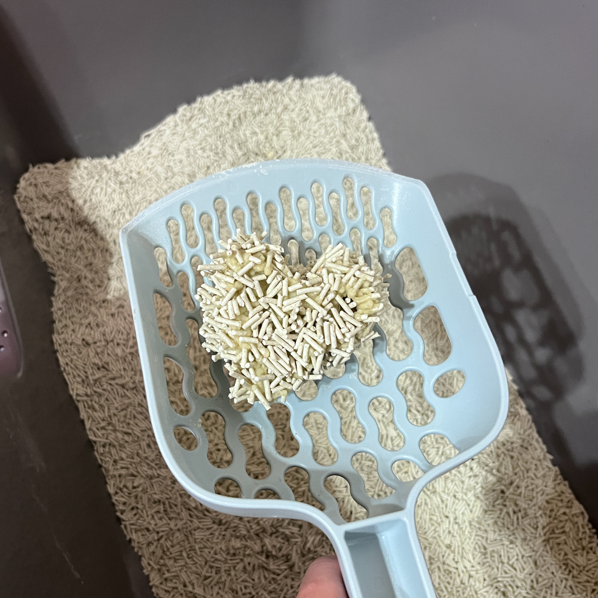 2. 除臭力：瞬吸速凝鎖住異味，讓家裡不再臭臭！