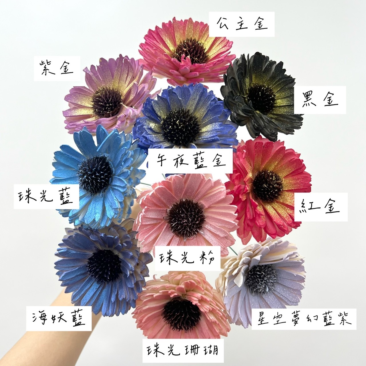 越南索拉花 百日菊 6CM <十支一把>