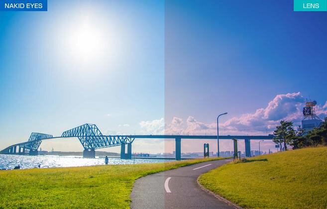 AF-306 C-2RE 粉紅防霧鏡片