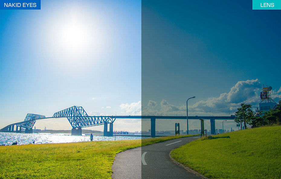 AF-303 C-2 深灰備用鏡片