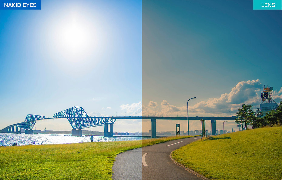 AF-304 C-1S 棕色備用鏡片