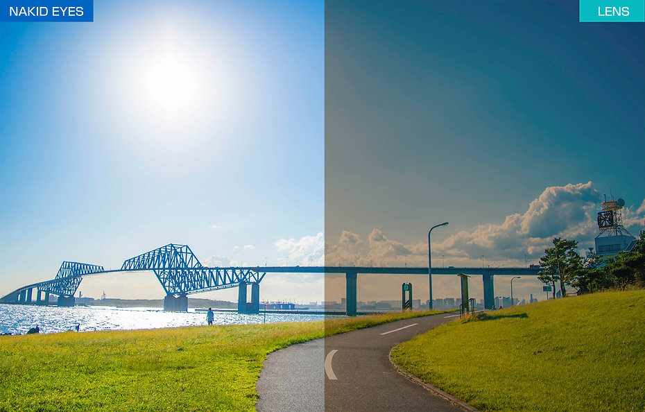 AF-302 C-35WP 藍色偏光鏡片