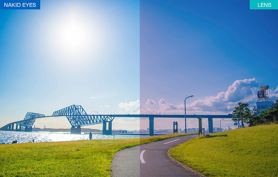 AF-302 C-4/C-5WP 高對比藍粉偏光鏡片