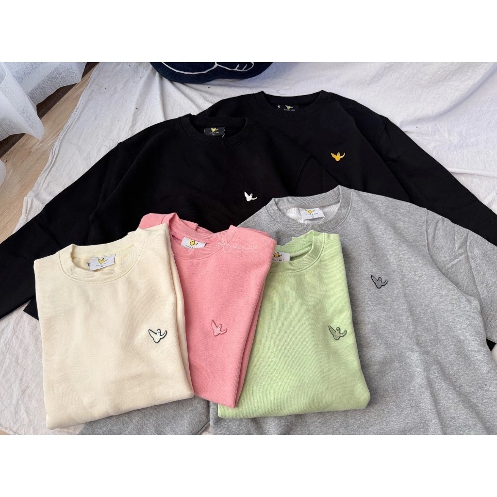 What it isnt 天使大學T