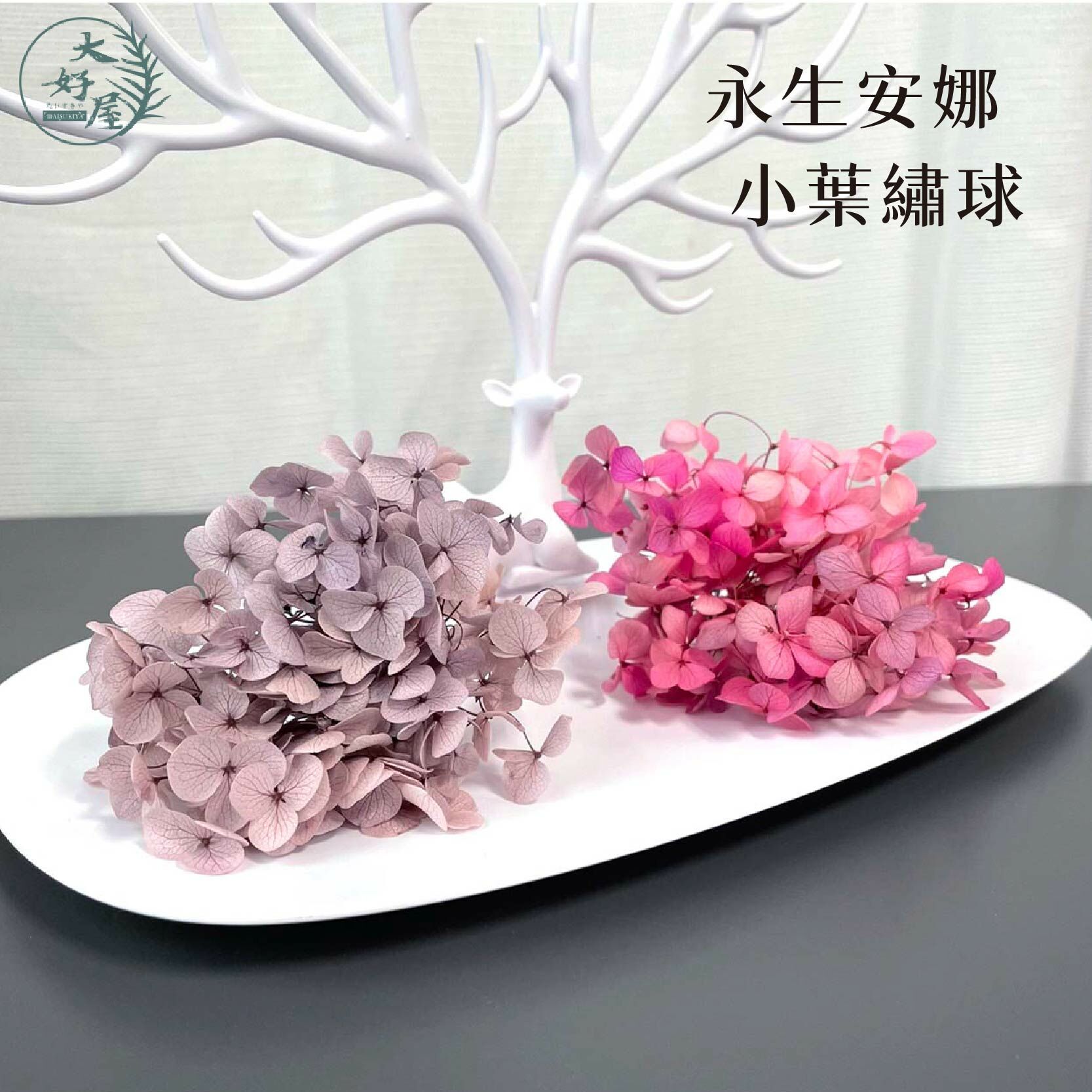 永生安娜繡球【經濟包1-2克】