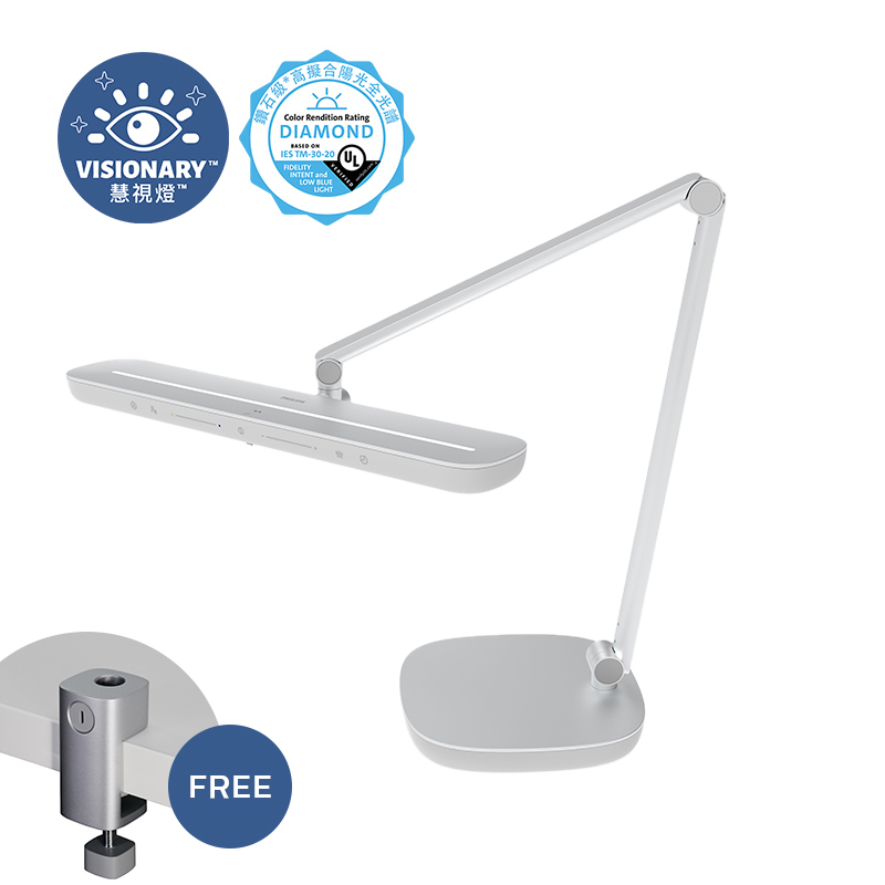 66160 A5 Pro Professional Desk Light (Silver)