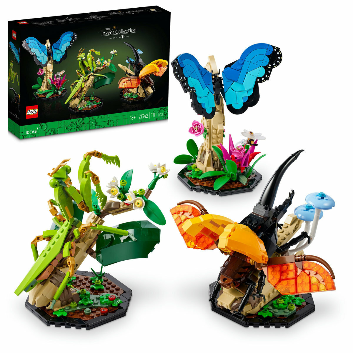 21342 The Insect Collection