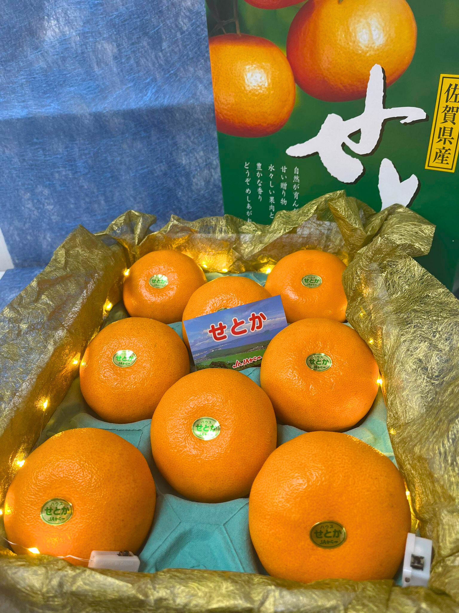 佐賀瀨戶香Setoka柑禮盒