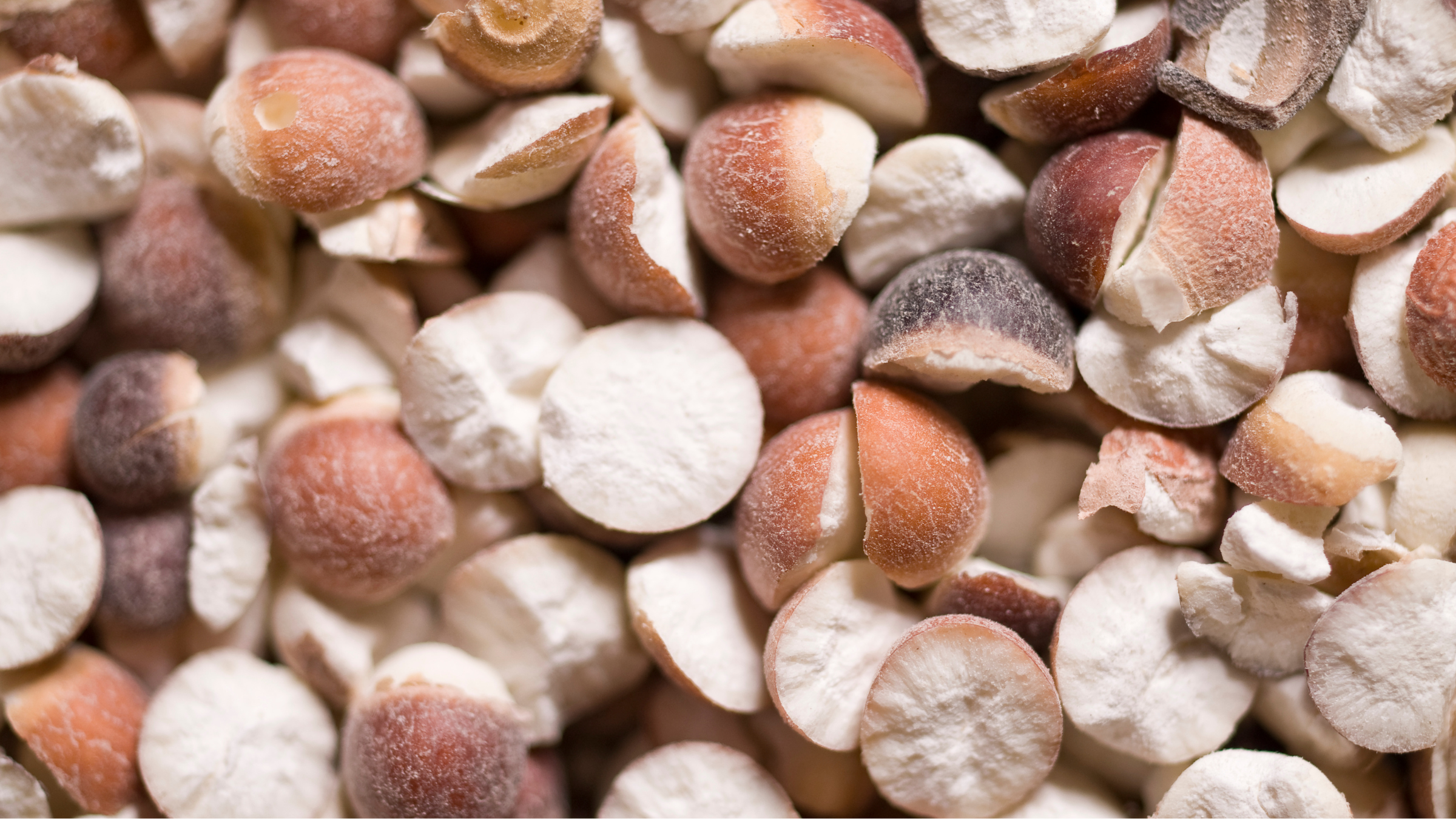 芡實,中藥雞湯,中藥,雞湯,補品,備孕,懷孕,產後,補腎固精,健脾止瀉,