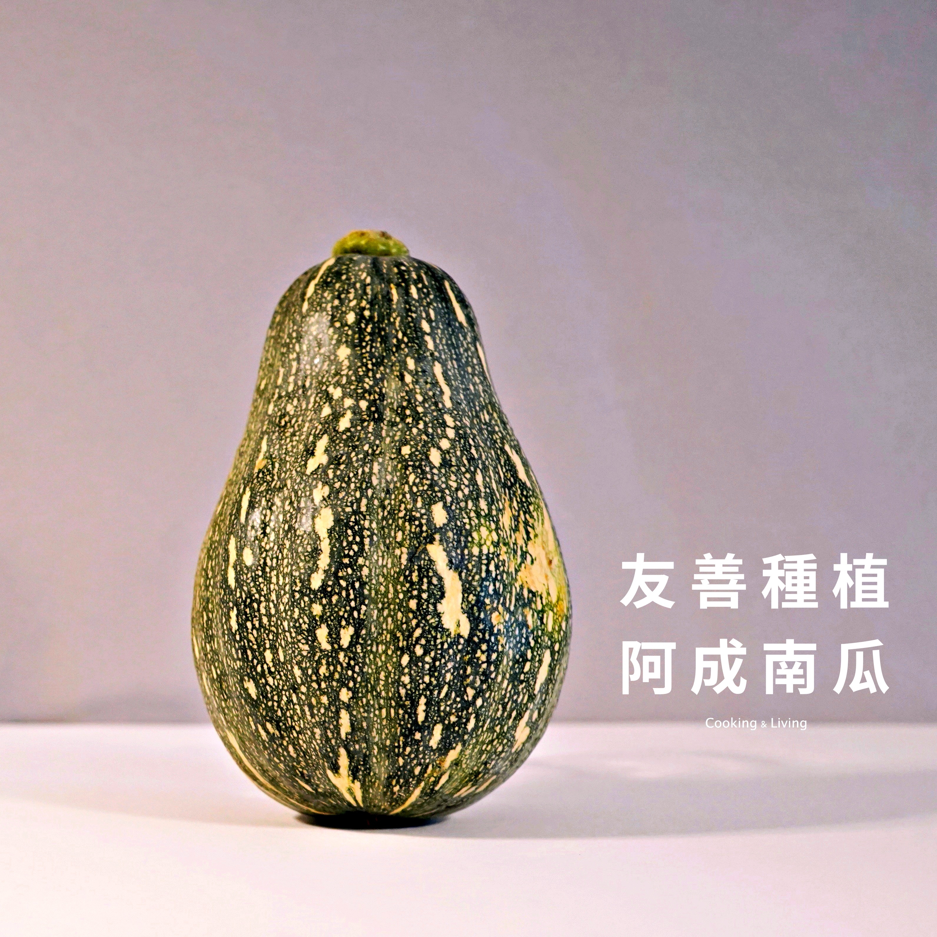 自煮生活_主廚手作南瓜濃湯 600g