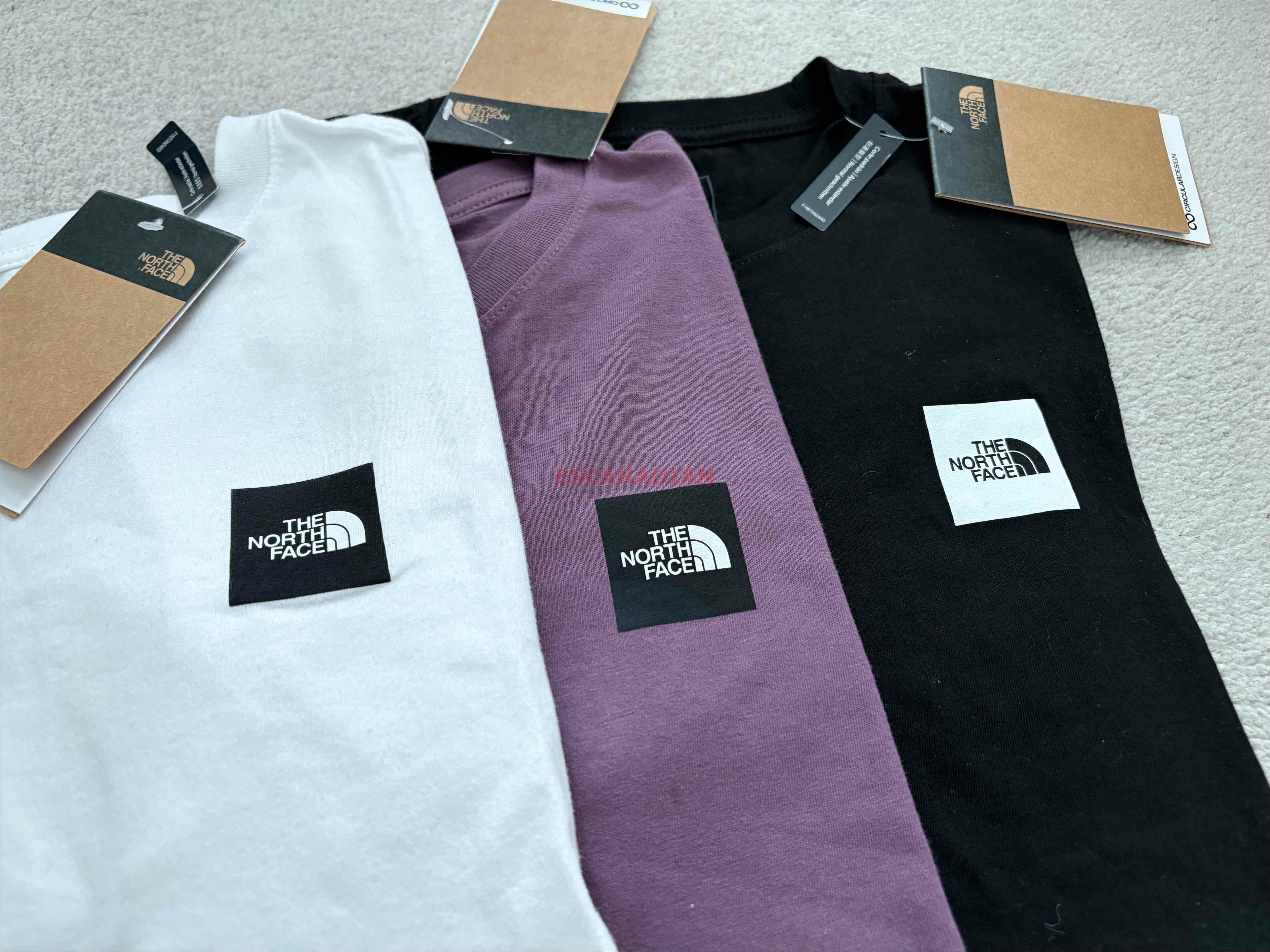 THE NORTH FACE 女大人 經典BOX小標 短TEE (3色)