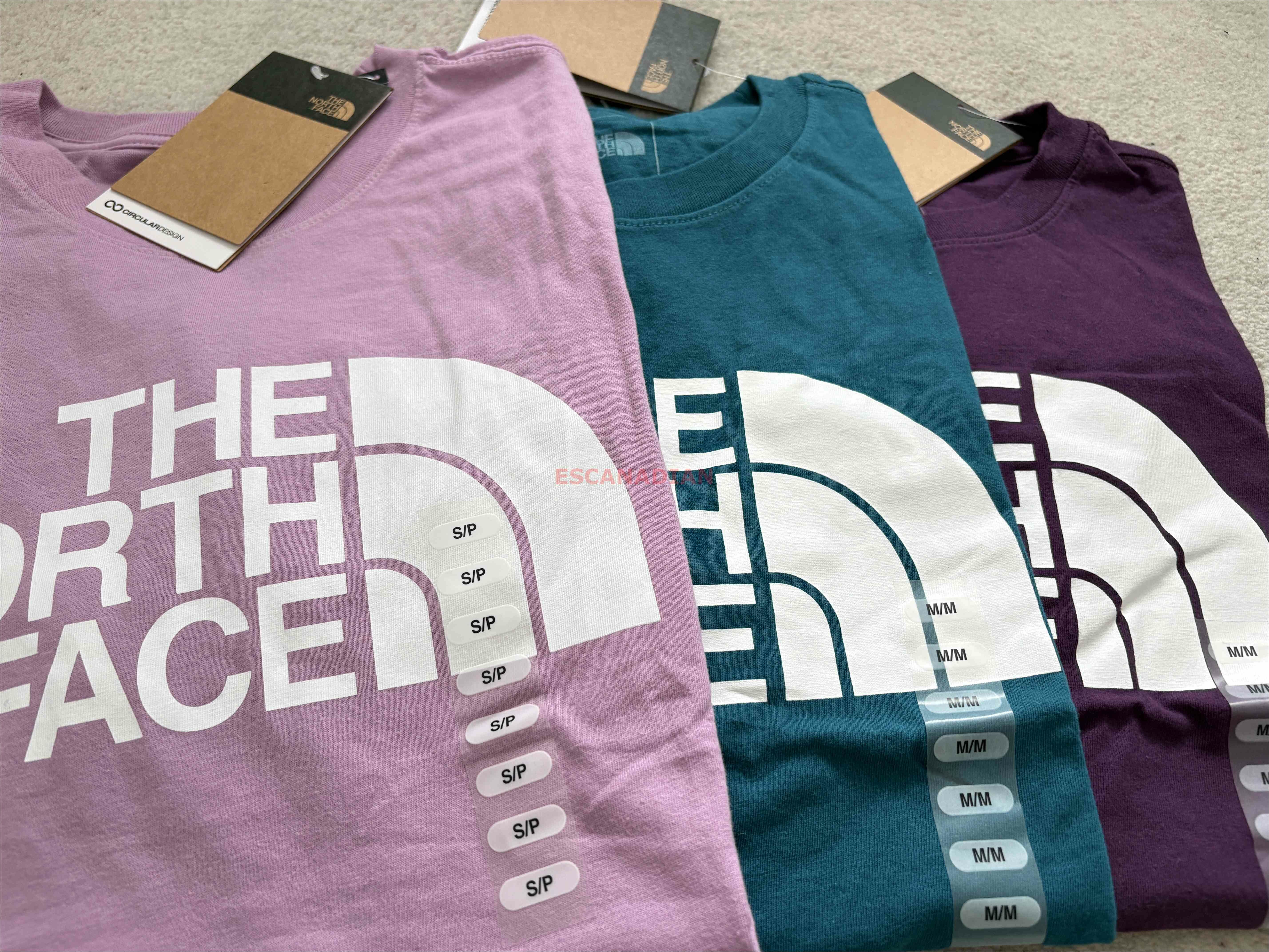 THE NORTH FACE 女大人 經典半山標誌 短TEE (3色)