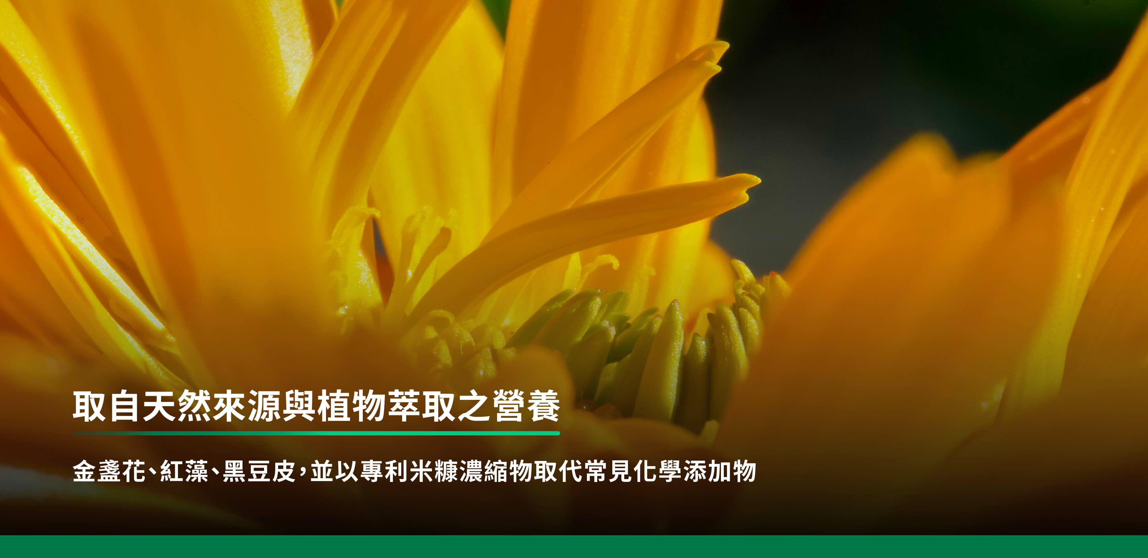 取自天然來源與植物萃取之營養