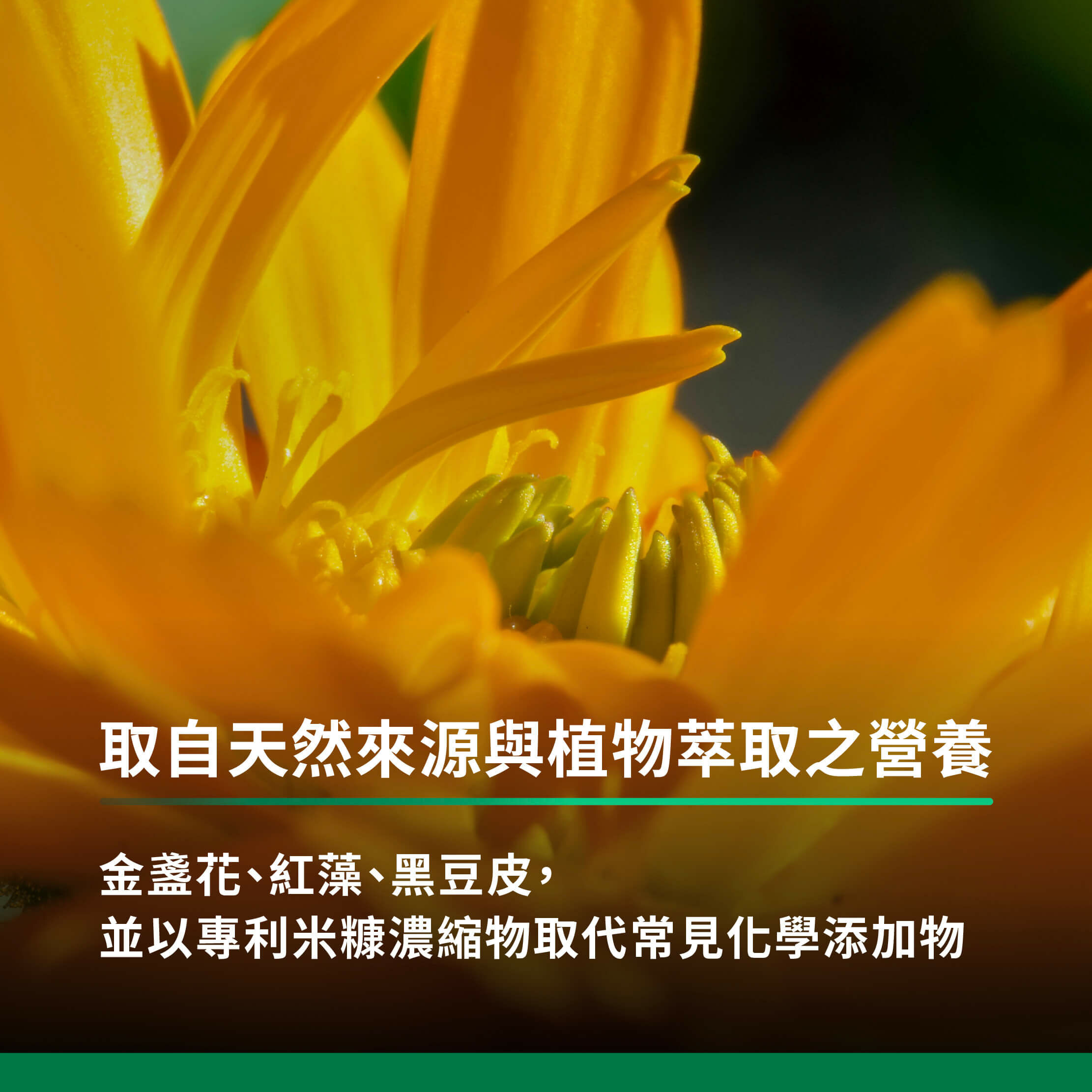 取自天然來源與植物萃取之營養