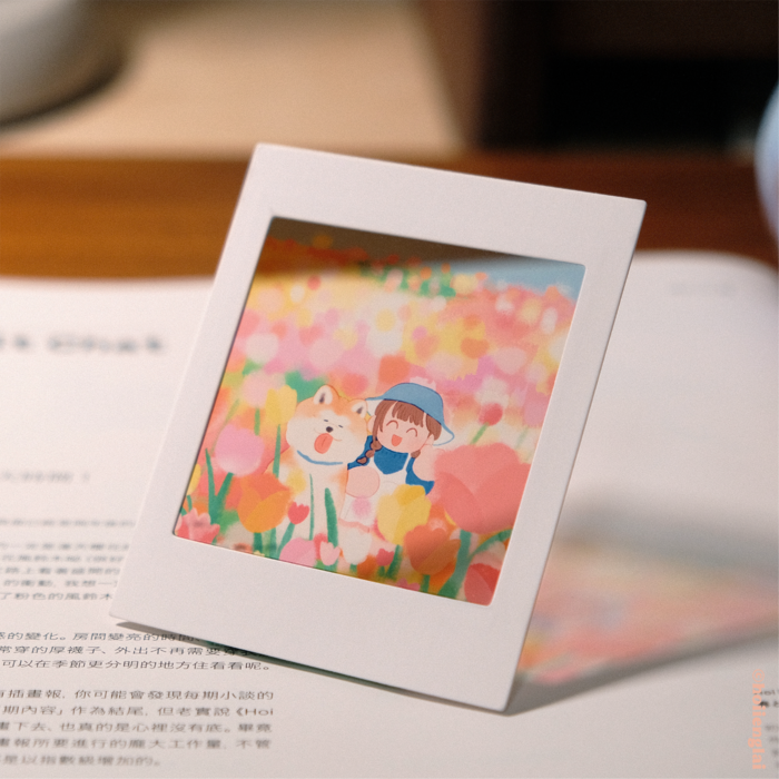 Hoi ホーイ｜絕版｜透光拍立得｜花田