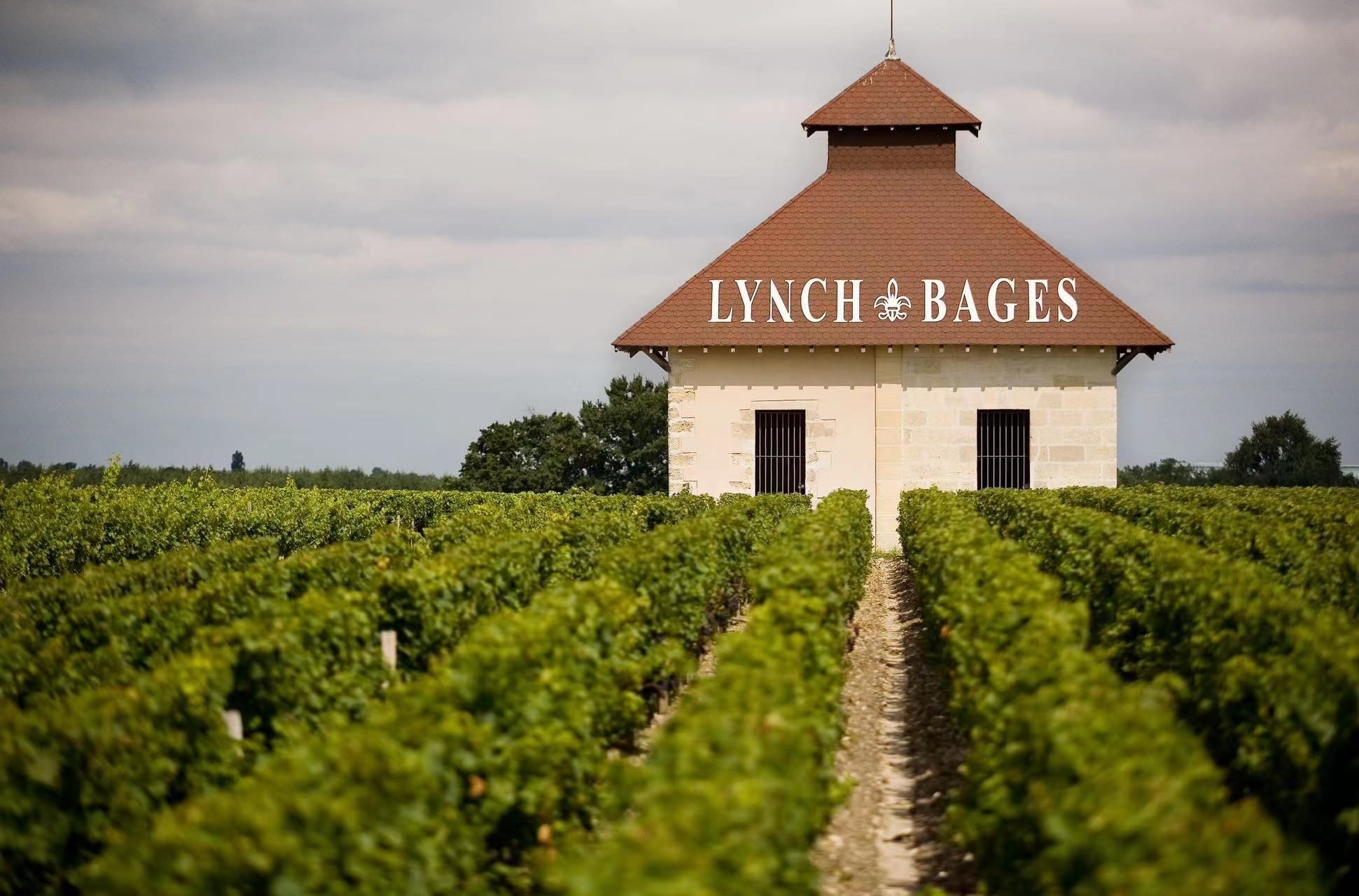 Lynch-Bages Vineyard