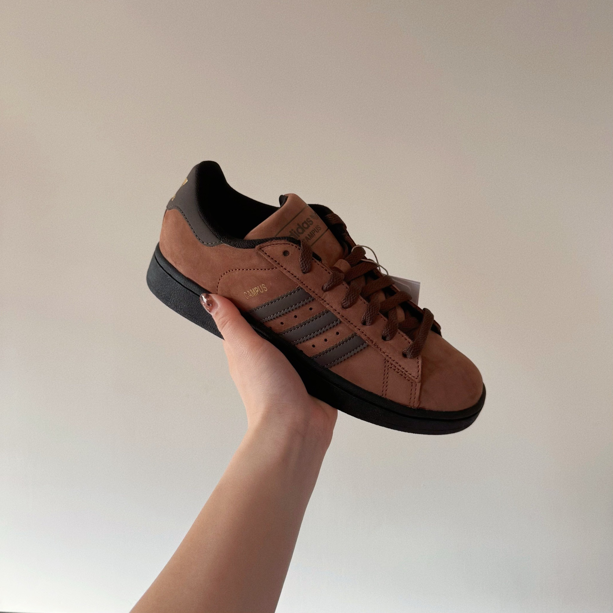 Adidas Originals Campus 2 日本限定 深培黑巧 深棕色 黑底 復古鞋 JS0596