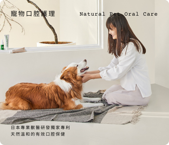 寵物口腔保健
