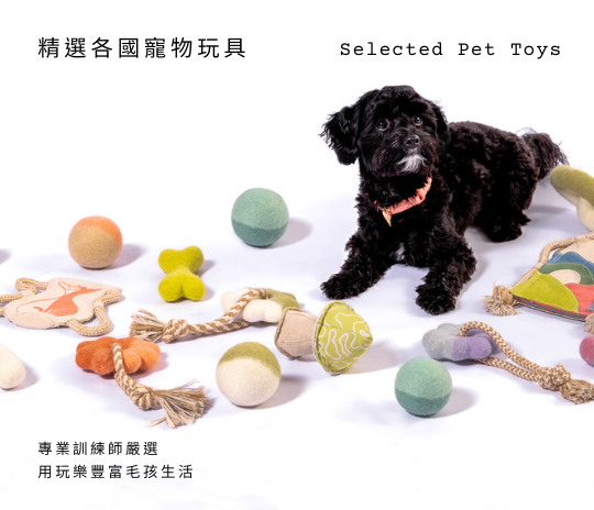 寵物玩具推薦