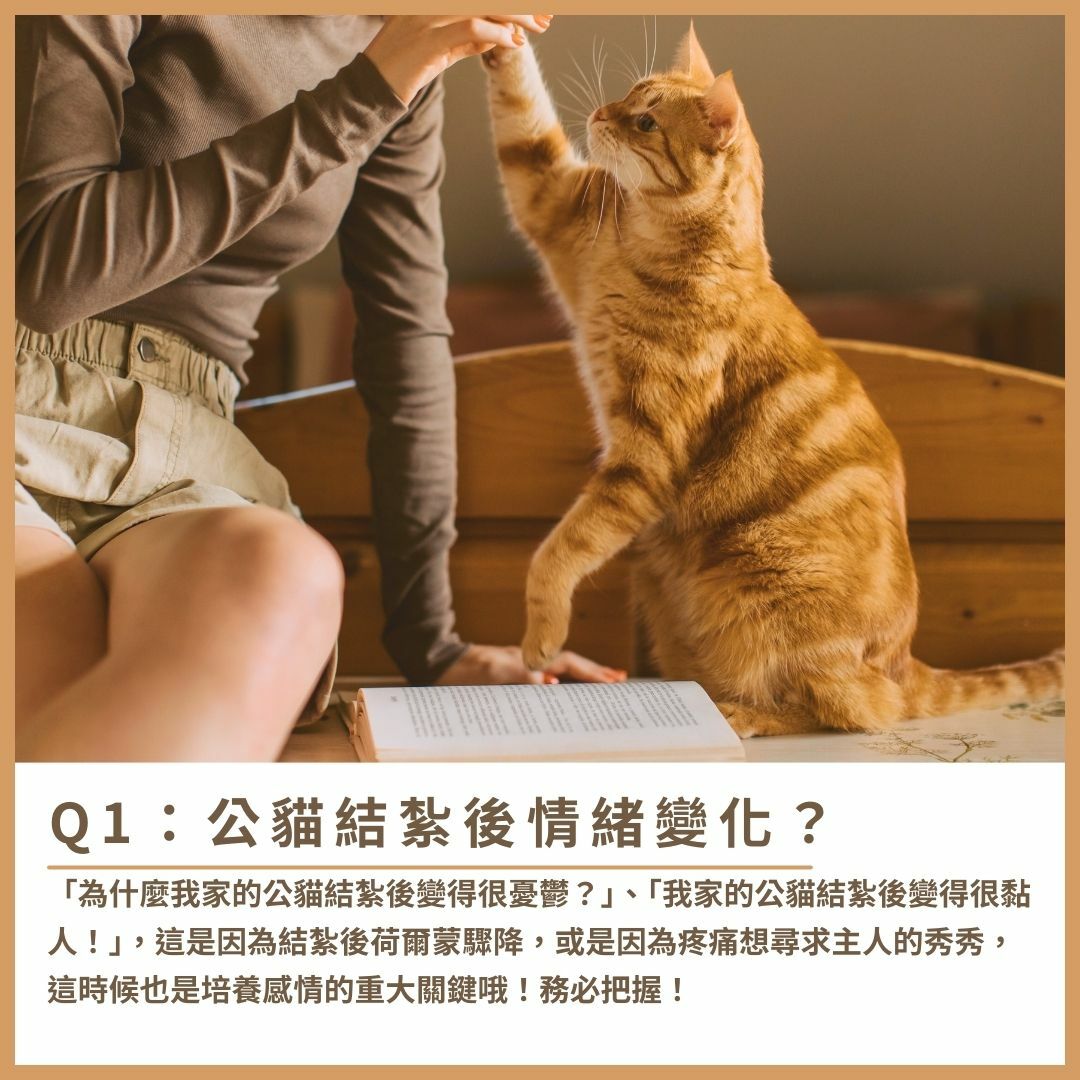 公貓結紮後情緒變化？