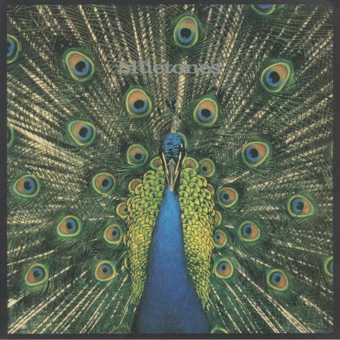 The Bluetones《Expecting To Fly (25th Anniversary Edition) 》（180g LP）