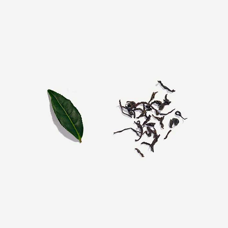 有機茶葉茶包英式早餐 x 20