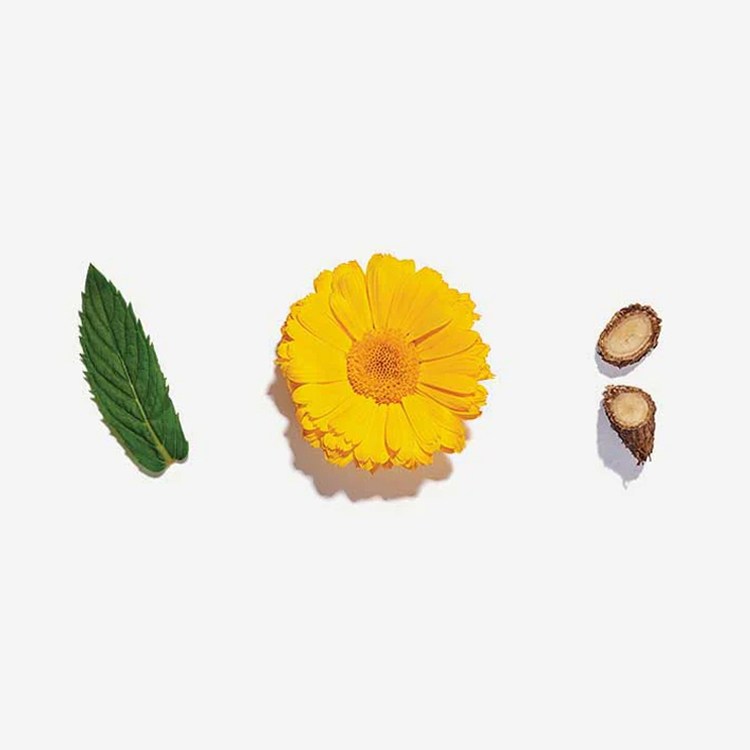 有機茶葉茶包光亮皮膚 x 20