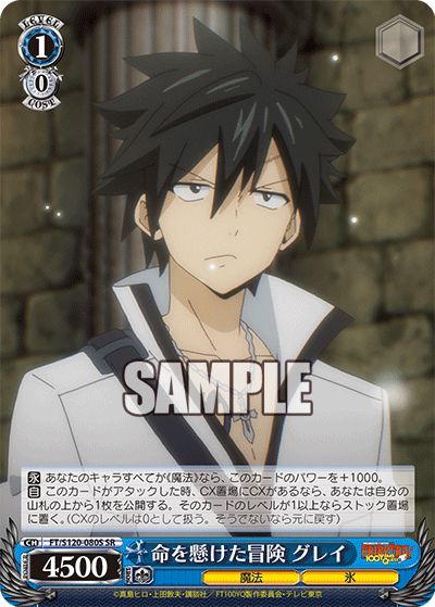 【FT/S120-080S SR】命を懸けた冒険 グレイ