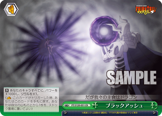 【FT/S120-051 CR】ブラックアッシュ