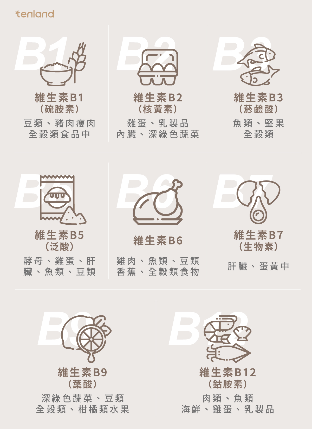 B群食物清單