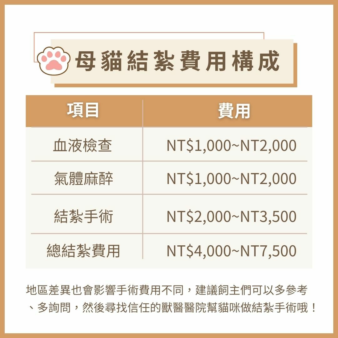 母貓結紮手術費用