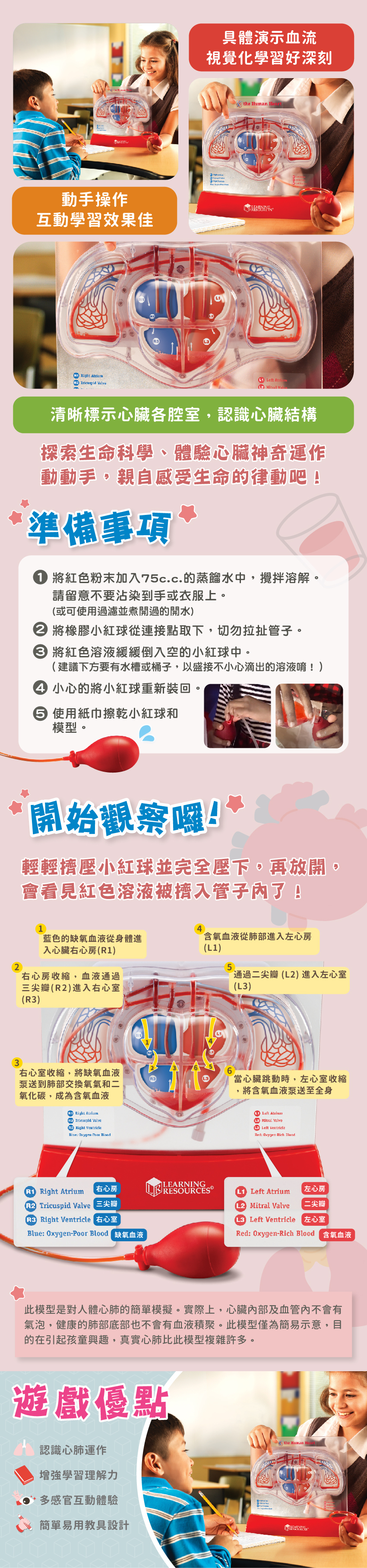 具體演示血流,視覺化學習好深刻。動手操作,互動學習效果佳。清晰標示心臟各腔室,認識心臟結構。此模型是對人體心肺的簡單模擬。實際上,心臟內部及血管內不會有氣泡,健康的肺部底部也不會有血液積聚。此模型僅為簡易示意,目的在引起孩童興趣,真實心肺比此模型複雜許多。遊戲優點:認識心肺運作,增强學習理解力,多感官官互動體驗,簡單易用教具設計