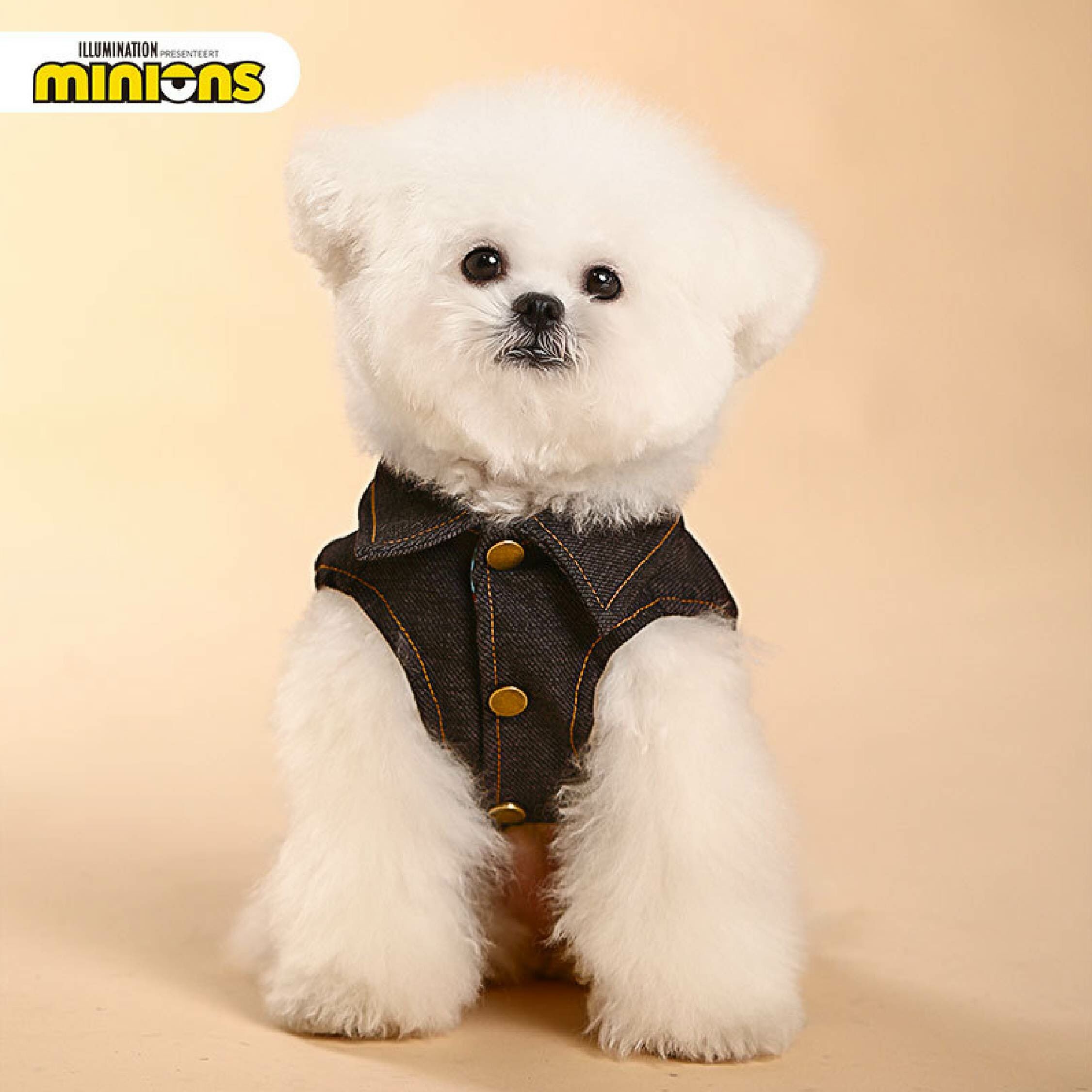 DISNEY - 小小兵牛仔馬甲胸背衣