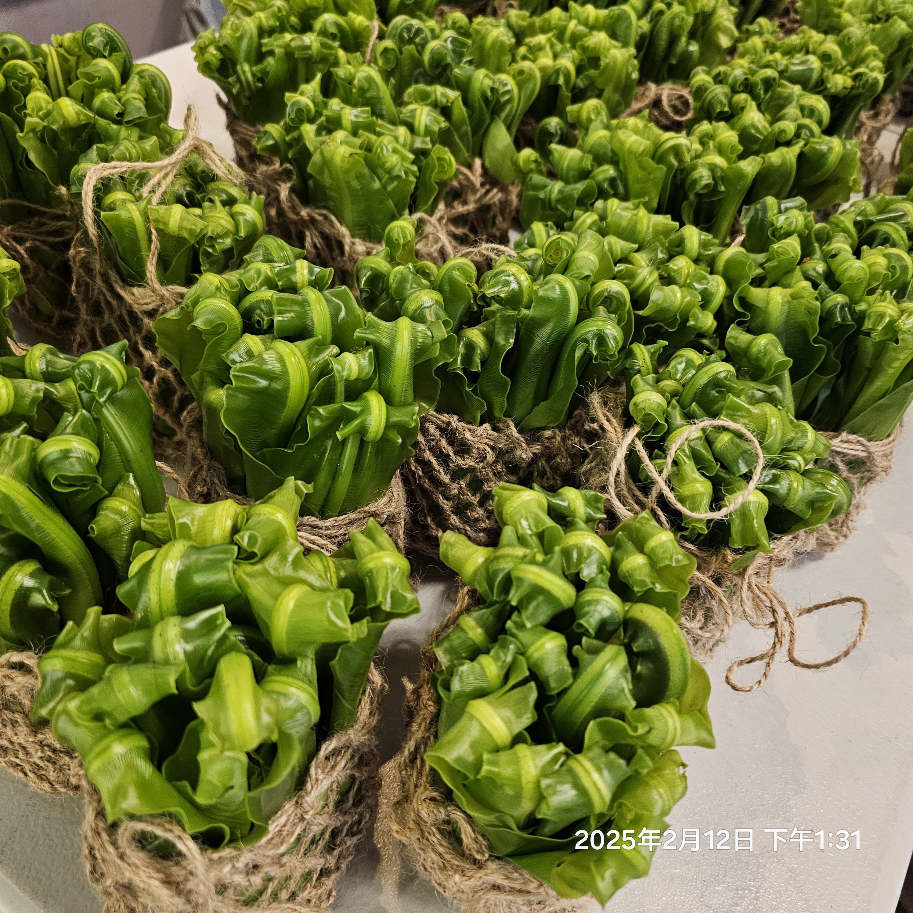 花蓮山蘇嫩葉 （可加購雨來菇）｜佳民部落平地野放 (樹蔭共生) ｜ 全台冷藏宅配到府、產地直送!*