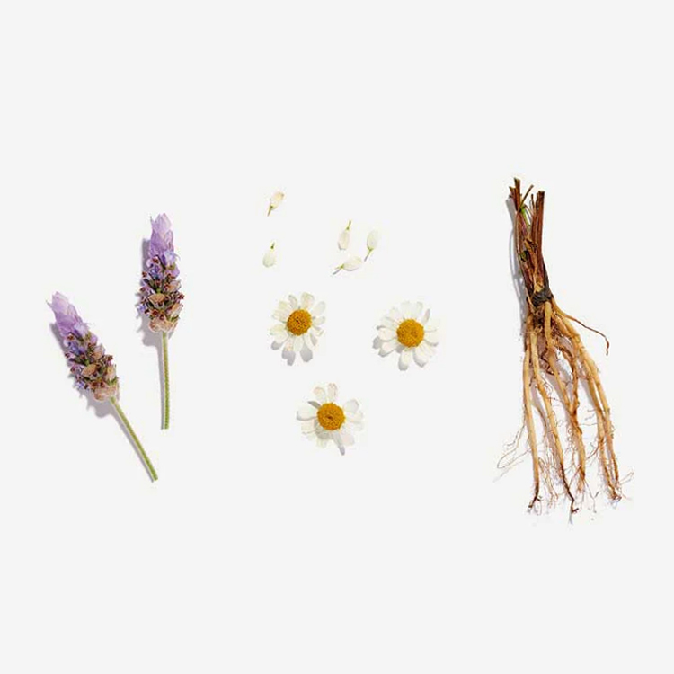 有機茶葉茶包睡眠 x 20