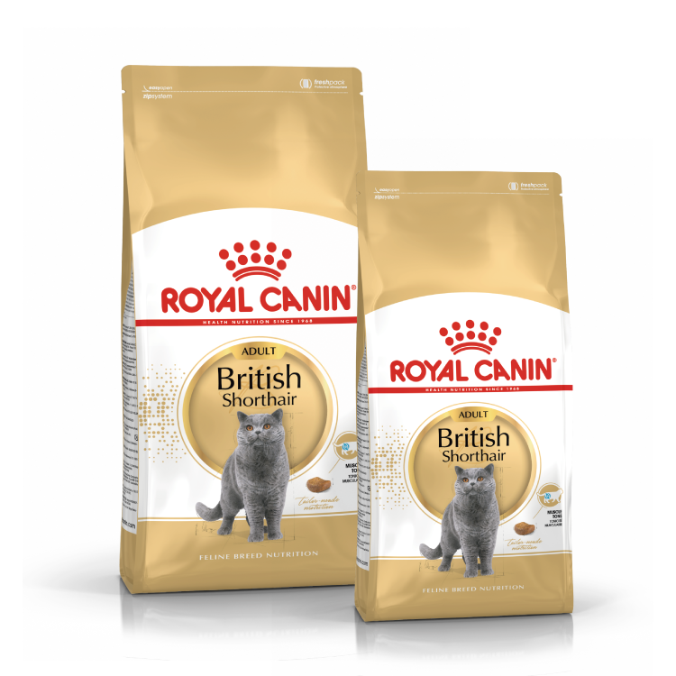 (原裝代理行貨) Royal Canin 成貓乾糧 - Birtish 英國短毛貓配方 (2kg/4kg)