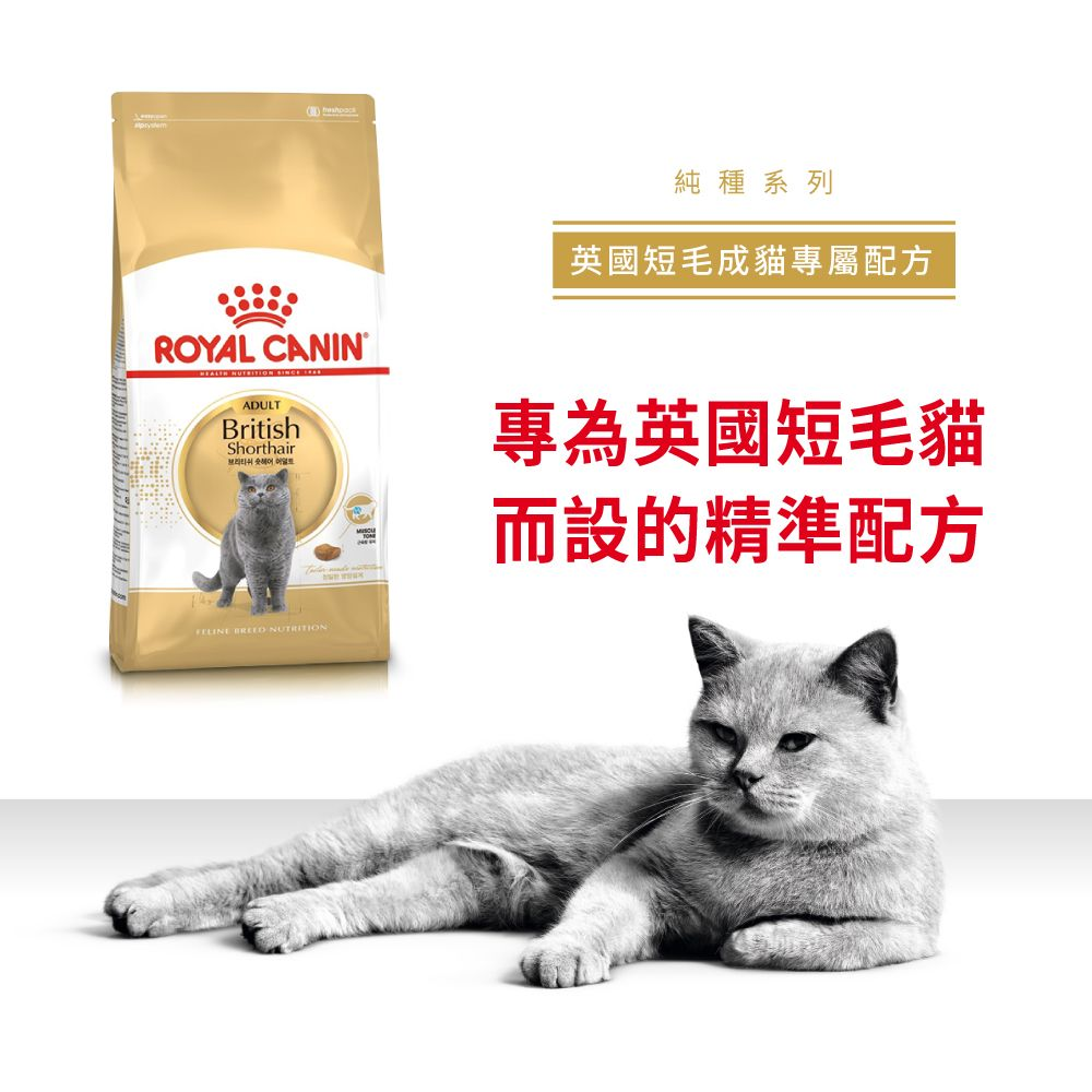 (原裝代理行貨) Royal Canin 成貓乾糧 - Birtish 英國短毛貓配方 (2kg/4kg)